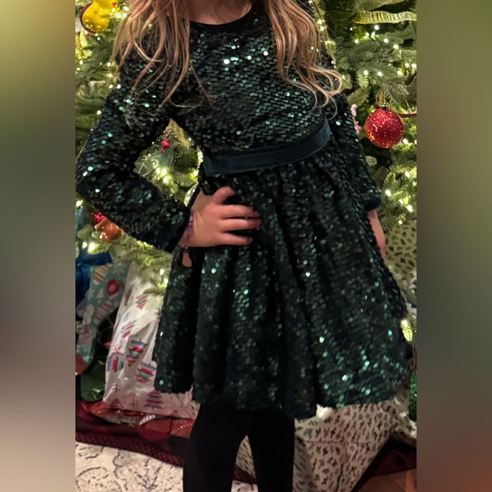 Girl’s Green and Velvet Sequin Dress